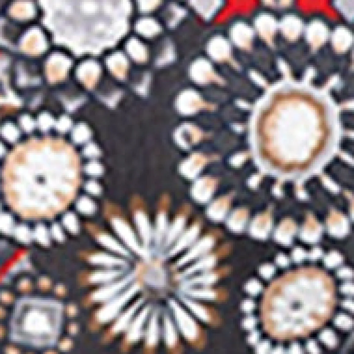 Blouse à manches 3/4 avec boutons